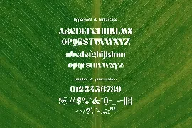 Richieschichue - Decorative Font