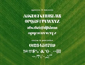 Richieschichue - Decorative Font