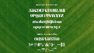 Richieschichue - Decorative Font