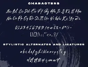 Rustic Brush font