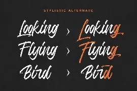 Jumps Steady Business Font