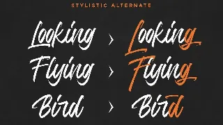 Jumps Steady Business Font