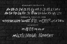 Ronxetta | Brush Font