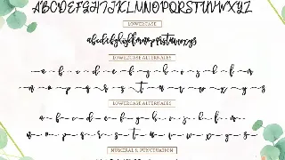 Melankolis - Modern Script Font