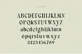 Costa Nova || display Ligature serif font