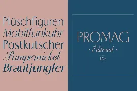 Promag Font Duo