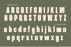 DAMNURSE CHRONICAL font