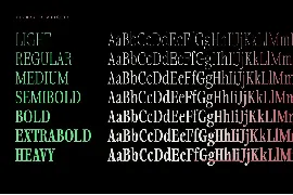 Fionas - 14 Fonts