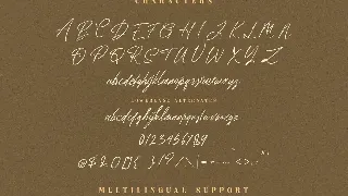 Dianella font