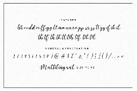 Martinesse font