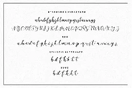 Martinesse font