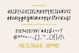 Amster Brush font