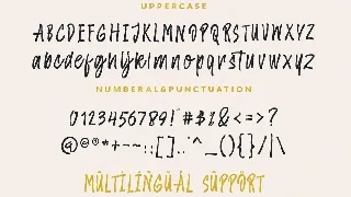 Amster Brush font