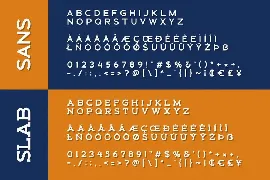 Schein - Sans & Slab font