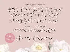 Roseline Script Font