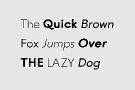 QARTELLA - Clean & Modern Sans-Serif Typeface font