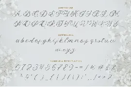 Yolitica |modern handwritten script font