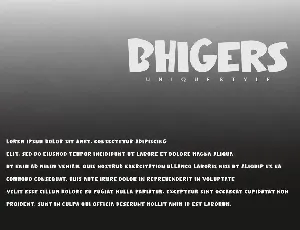 Bhigers - Display Font