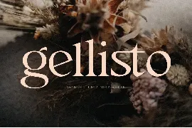 Gellisto Modern Ligature Serif font