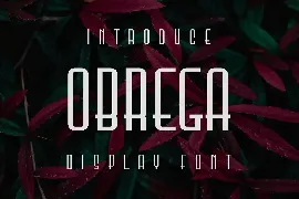 Obrega Font