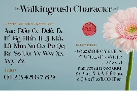 Walkingrush font