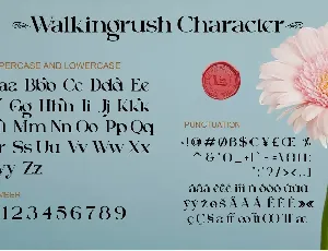 Walkingrush font