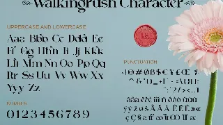 Walkingrush font