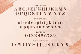 AVONE - Stylish Serif font