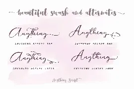 Anything Script font