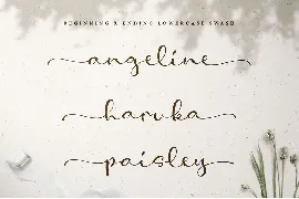 Amelia Stanley Script Font