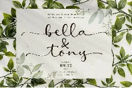 Amelia Stanley Script Font