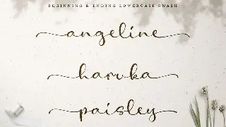 Amelia Stanley Script Font