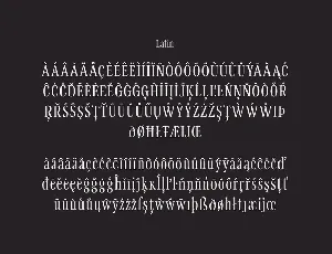 Svelte font