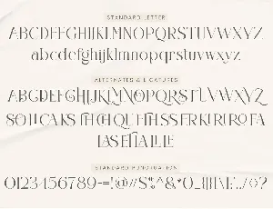 Claster Oleander Font Duo