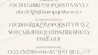 Claster Oleander Font Duo