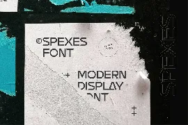 Spexes Modern Display Font