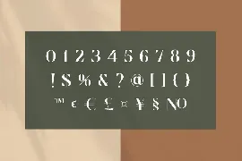 Cronisse - Modern Display Serif font