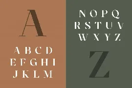 Cronisse - Modern Display Serif font