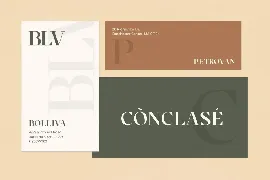 Cronisse - Modern Display Serif font