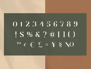 Cronisse - Modern Display Serif font