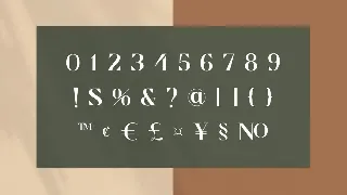 Cronisse - Modern Display Serif font