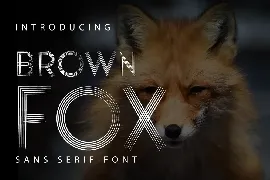 Brownfox - Sans Serif Fonts