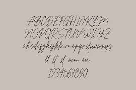 Restiny Sallmi font