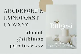 Billgest - Modern Classy Serif font