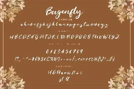 Bugenfly Handwritten Advertisement Font