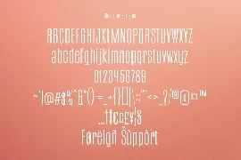 Terrakota Signature Sans Font Duo