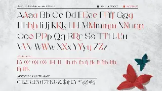 Raemoon Font