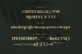 Marleigh Retro Serif font