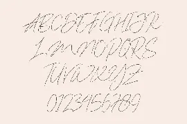 Dallem Signature font