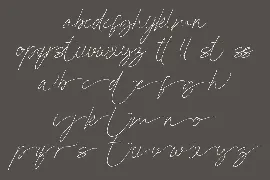 Dallem Signature font